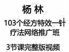 杨林103个经方特效一针疗法,课程,第1张 杨林103个经方特效一针疗法,课程,第1张