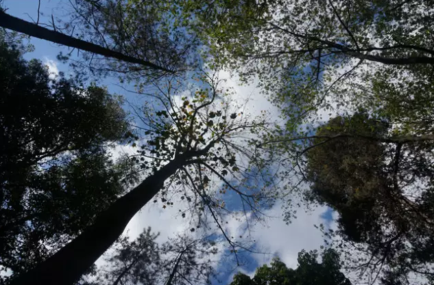 自然学习 以大自然为师的再生之道,设计,制作,价值,第1张