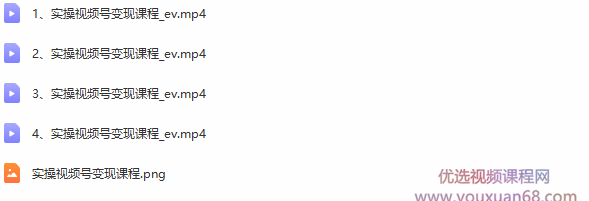 柚子团队内部课程：实操视频号变现课程，助你2021抓住赚钱风口【视频课程】,课程,视频,教程,第2张