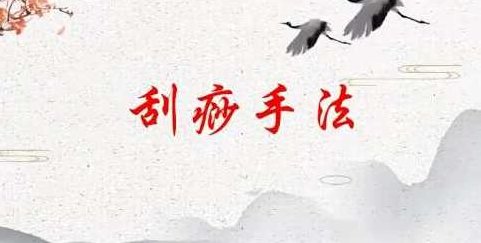 刘霞新版人体十二部刮痧视频课程13集,课程,视频,视频课程,第1张