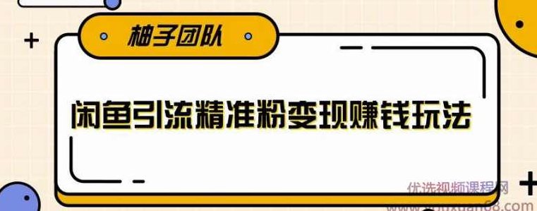 闲鱼引流精准粉变现赚钱玩法，每天可以引流精准粉+100【视频课程】,课程,视频,教程,第1张