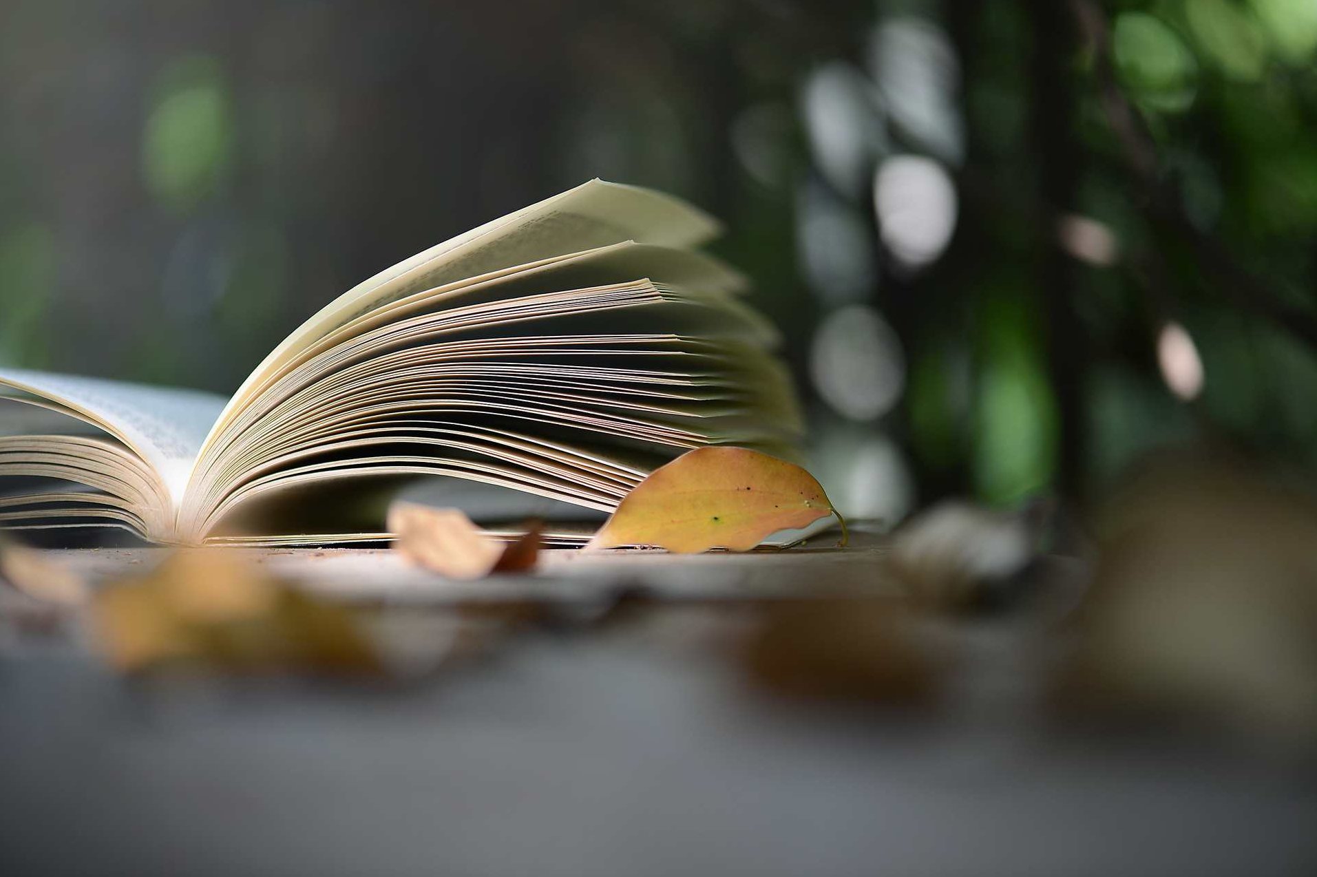 读书 感受爱,视频,研究,思维,第1张