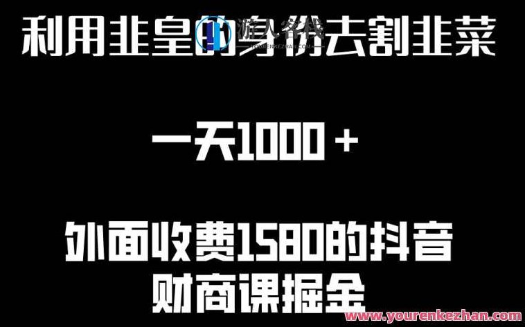 利用非皇的身份去割韭菜，一天1000+(附详细资源),课程,视频,第1张