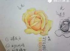 彩铅零基础自学快速入门视频教程39讲,视频,教程,第1张 彩铅零基础自学快速入门视频教程39讲,视频,教程,第1张