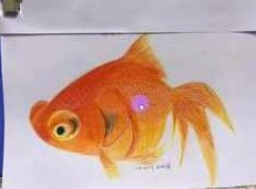 彩铅基础视频教程28课_彩铅画零基础入门视频教程_彩铅教程入门,课程,视频,教程,第1张