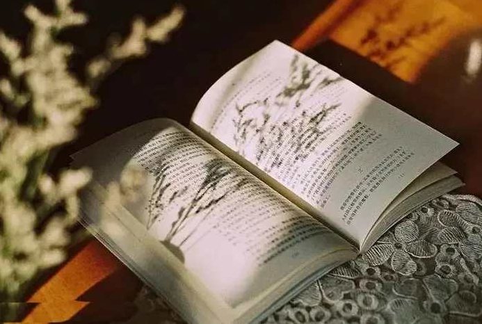 读书 活好,基础,演讲,秘诀,第1张 读书 活好,基础,演讲,秘诀,第1张