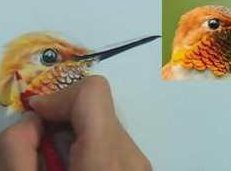 彩铅动物鸟猫狗等视频教程16讲_彩铅动物绘超详细教程,课程,视频,教程,第1张