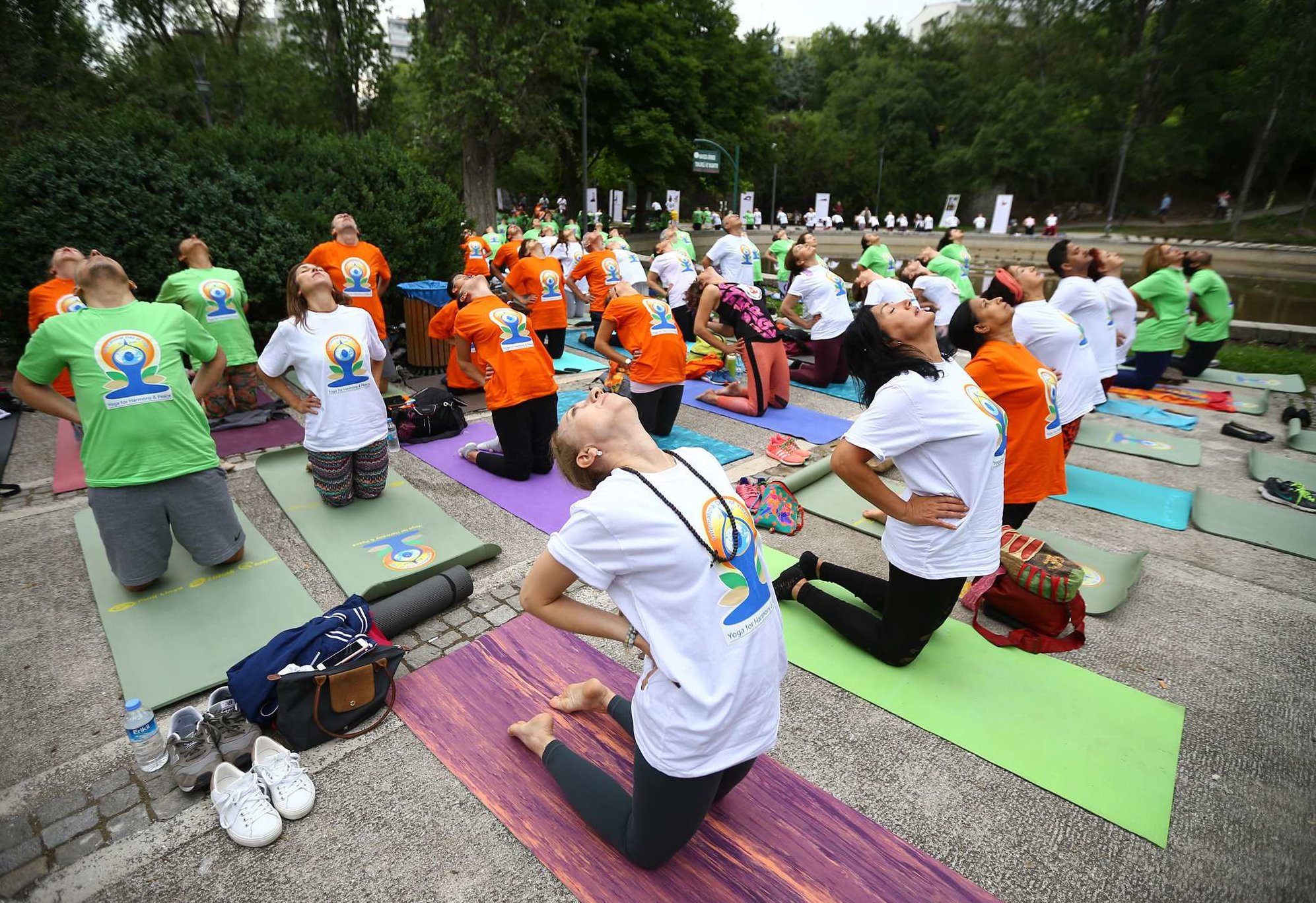 印度莫汉 纯粹瑜伽 全课程学习 网盘下载,课程,设计,第1张 印度莫汉 纯粹瑜伽 全课程学习 网盘下载,课程,设计,第1张