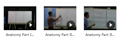 俄罗斯列宾美院内部课程高级讲师人体结构素描教程_人体结构素描教程视频,课程,视频,教程,第2张