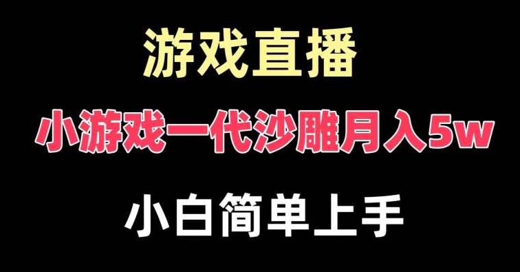 玩小游戏一代沙雕月入5w，爆裂变现，快速拿结果，高级保姆式教学【揭秘】,赚钱,教学,揭秘,第1张
