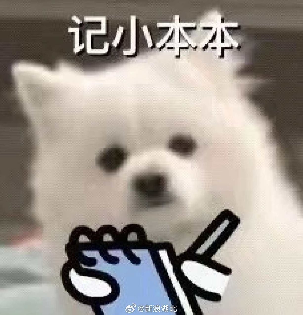 5大名师 分享学霸学习法