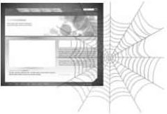 谢松杰 网络营销业绩倍增,研究,创业,培训,第1张