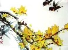 徐湛国画教程_跟徐湛学国画视频_徐湛写意花鸟国画视频教程,视频,教程,基础,第1张 徐湛国画教程_跟徐湛学国画视频_徐湛写意花鸟国画视频教程,视频,教程,基础,第1张