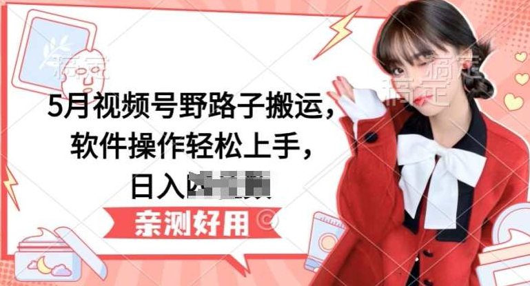 5月视频号野路子搬运，软件操作轻松上手，日入三位数【揭秘】,视频,揭秘,介绍,第1张