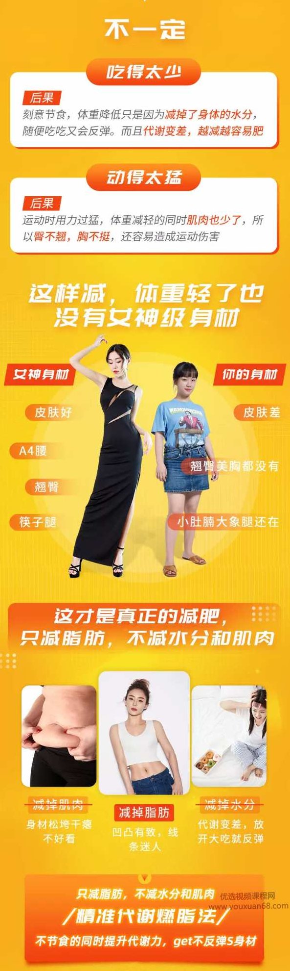 【中国瘦身女王亲授】精准代谢燃脂术，3周掉10斤，甩肉不反弹,课程,视频,基础,第2张