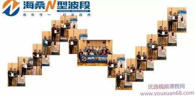 海桑 陈金辉2020年《职业操盘手 全年交易揭秘》期货课程,课程,揭秘,2020年,第1张