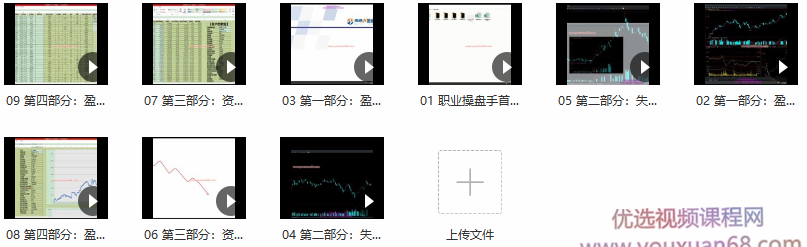 海桑 陈金辉2020年《职业操盘手 全年交易揭秘》期货课程,课程,揭秘,2020年,第2张