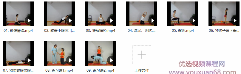 王媚-女性私密瑜伽之盆底肌修复系列 9课,课程,价值,介绍,第2张