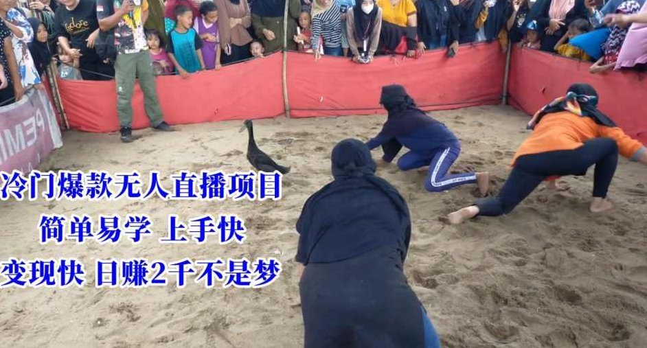 冷门爆款无人直播项目,简单易学上手快,变现快日赚2千不是梦【揭秘】,视频,教程,揭秘,第1张 冷门爆款无人直播项目,简单易学上手快,变现快日赚2千不是梦【揭秘】,视频,教程,揭秘,第1张