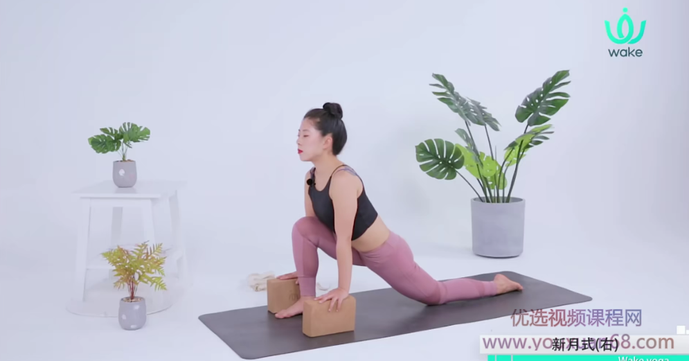 碧茜灵动致心14天流瑜伽-中级进阶,课程,指南,第1张 碧茜灵动致心14天流瑜伽-中级进阶,课程,指南,第1张