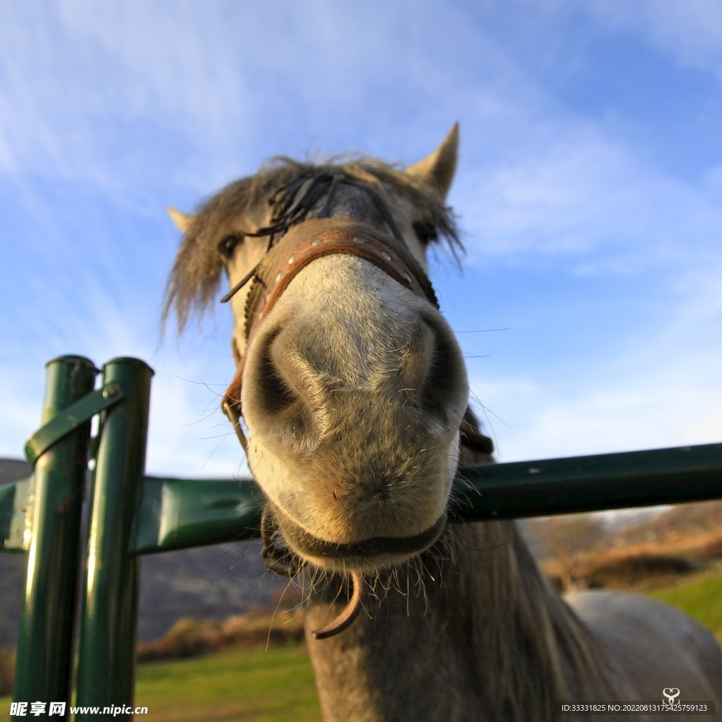 马云 郎咸平 于丹 专家团 全球企业家远东论坛高清,专家,高清,专家团,第1张