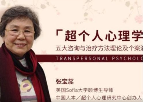 张宝蕊 超个人心理学 五大咨询与治疗方法理论及个案演示课程视频,课程,518智库,视频,第1张