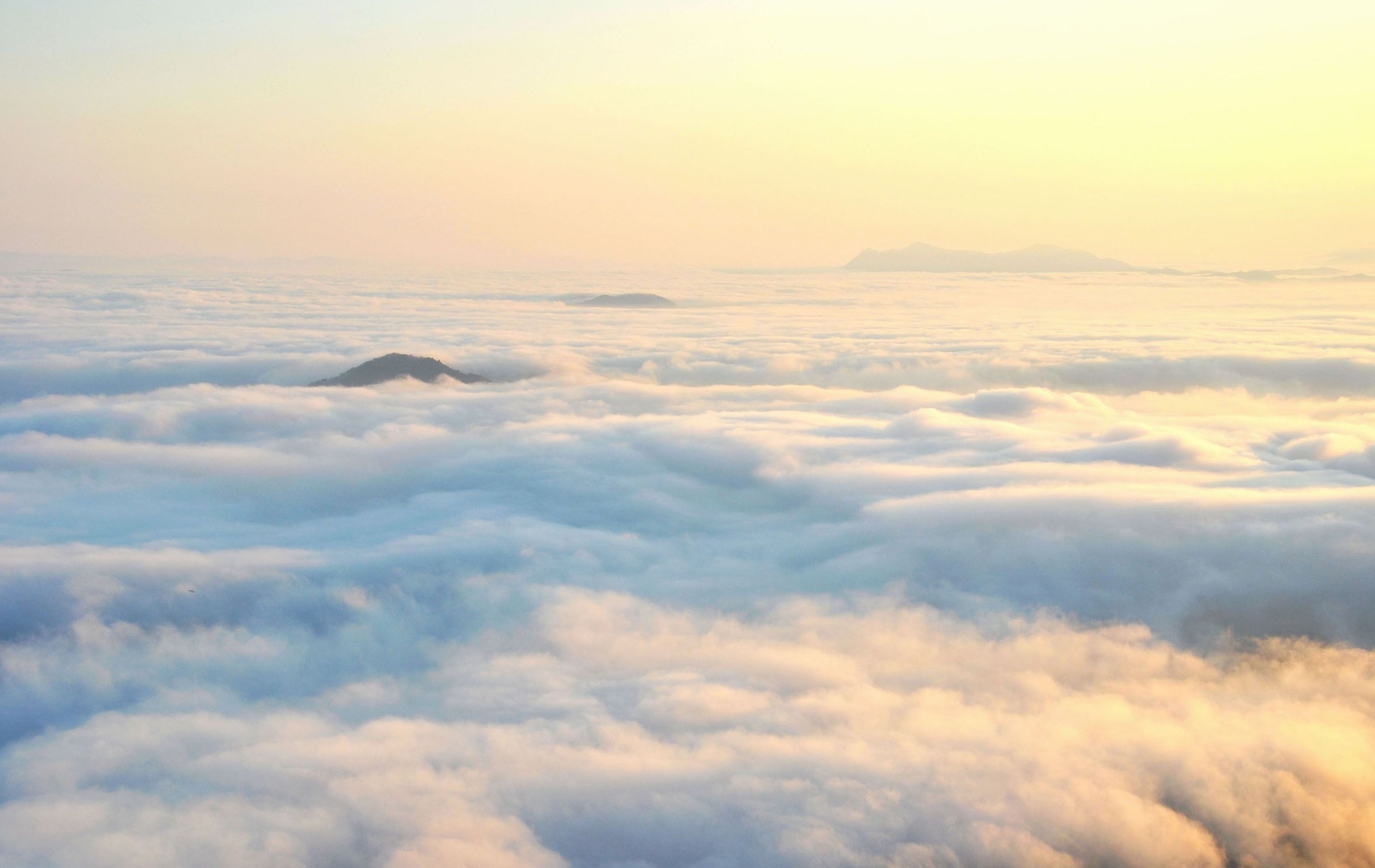 云海肴 线下连锁企业如何增长破局,设计,价值,指标,第1张