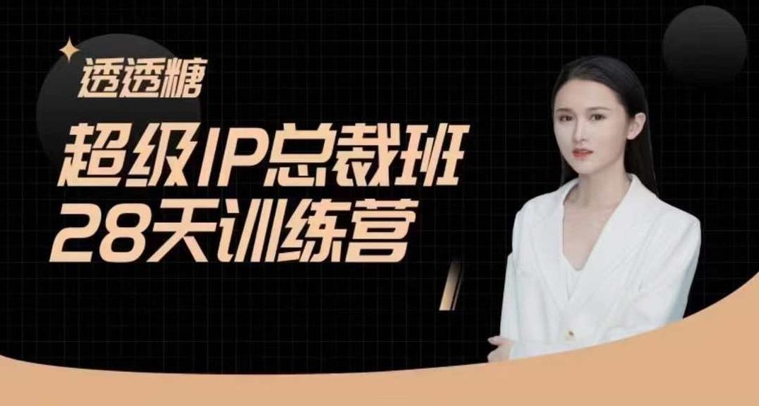 透透糖·超级IP总裁班28天训练营-5月，新媒体高效精准流量,课程,视频,基础,第1张