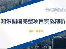 知识图谱项目实战开发视频教程（全套23集含源码）,课程,视频,教程,第1张