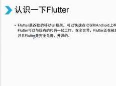 技术胖零基础学Flutter入门视频教程（移动UI框架）,课程,视频,教程,第1张