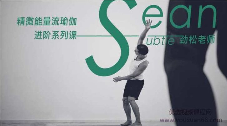 任劲松-精微能量流瑜伽进阶系列课2级,课程,力量,理论,第1张