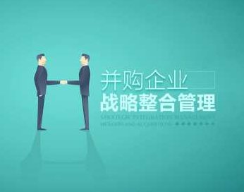 并购企业战略整合管理,课程,专家,基础,第1张