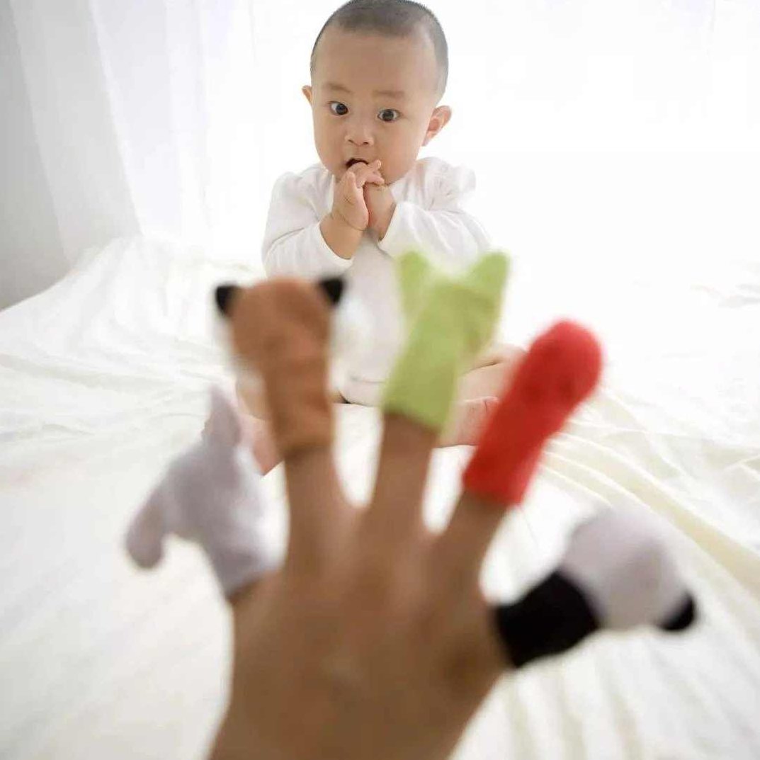 幼儿园实操课 幼儿手指操（幼儿健脑必备）6DVD,课程,研究,第1张