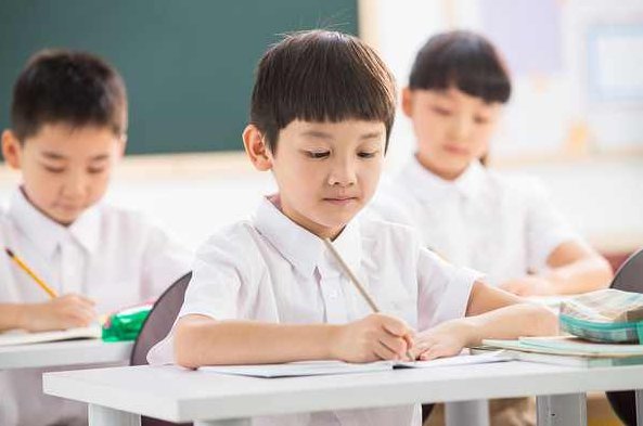 学生高效作业课：让孩子主动学习,视频,第1张