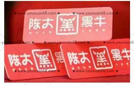 陈大黑牛·9月直播带货线下实操班：直播起号打法，千川系统玩法解读，付费起号思路等,课程,视频,演讲,第1张