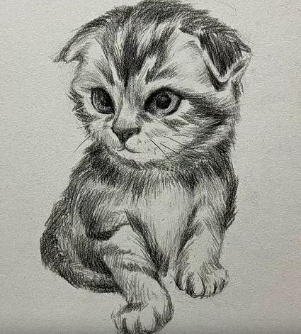 大乔素描全体系三合一几何静物石膏像【画质高清有照片素材】,课程,基础,第1张