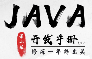 告别996，开启Java高效编程之门，提高编程效率,课程,视频,设计,第1张