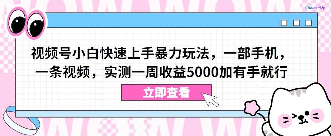 视频号小白快速上手暴力玩法，一部手机，一条视频，实测一周收益5000加有手就行【揭秘】,视频,教程,揭秘,第1张