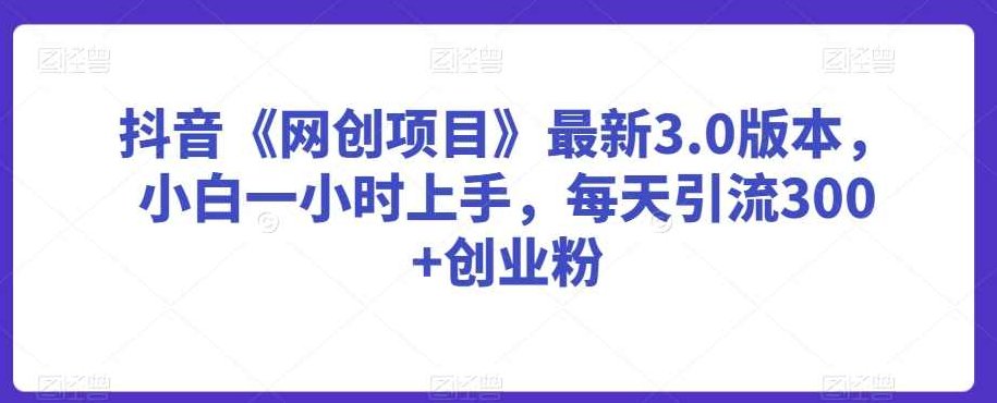 抖音《网创项目》最新3.0版本，小白一小时上手，每天引流300+创业粉【揭秘】,抖音,创业,揭秘,第1张