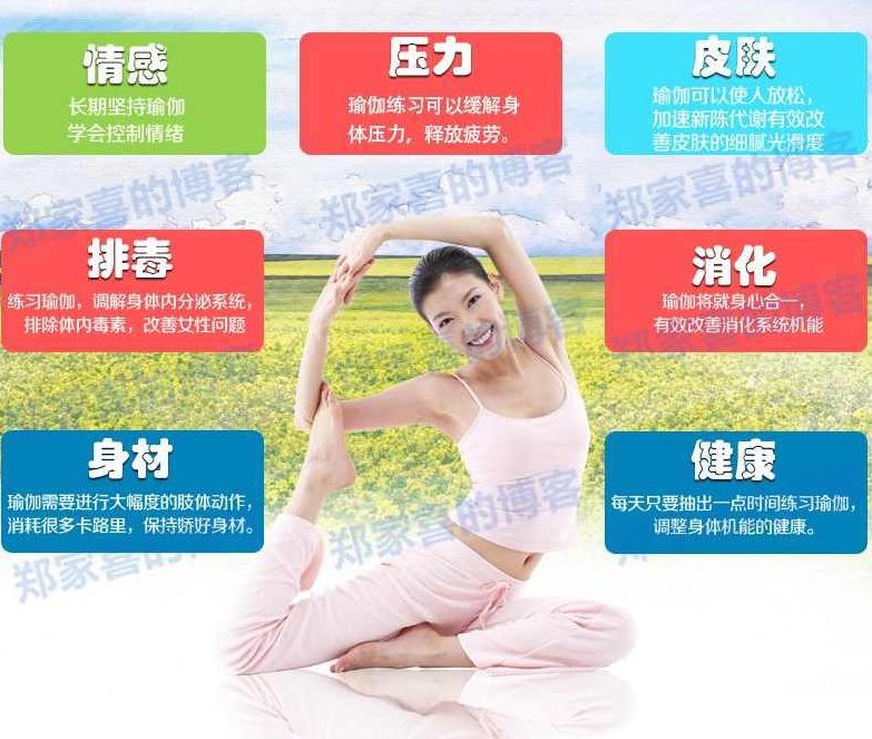 海量瑜珈教程18G高清 多套经典高品质超清瑜伽视频热卖初学入门,视频,教程,高清,第1张