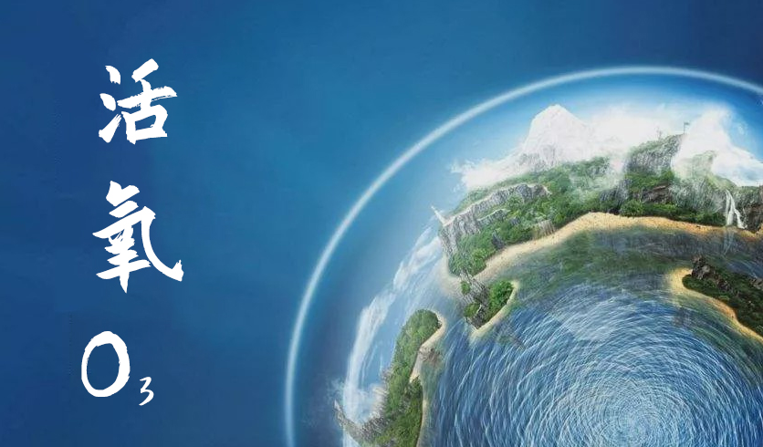 空气污染与健康 浮尘之岛,困境,第1张