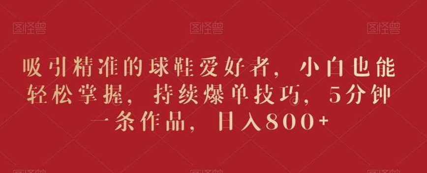 吸引精准的球鞋爱好者，小白也能轻松掌握，持续爆单技巧，5分钟一条作品，日入800+【揭秘】,视频,制作,资料,第1张