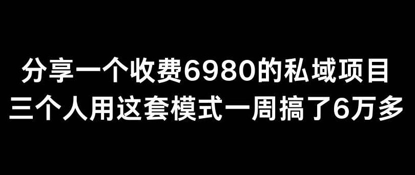 分享一个外面卖6980的私域项目三个人用这套模式一周搞了6万多【揭秘】,课程,教程,揭秘,第1张