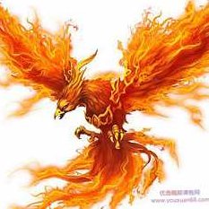 不死鸟韦一6.19月月翻倍的最优低吸战法 PDF文档