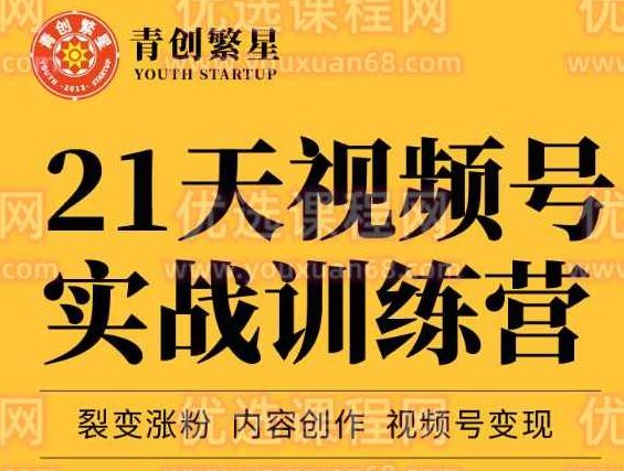 张萌21天视频号实战训练营，裂变涨粉、内容创作、视频号变现 价值298元,课程,视频,训练营,第1张