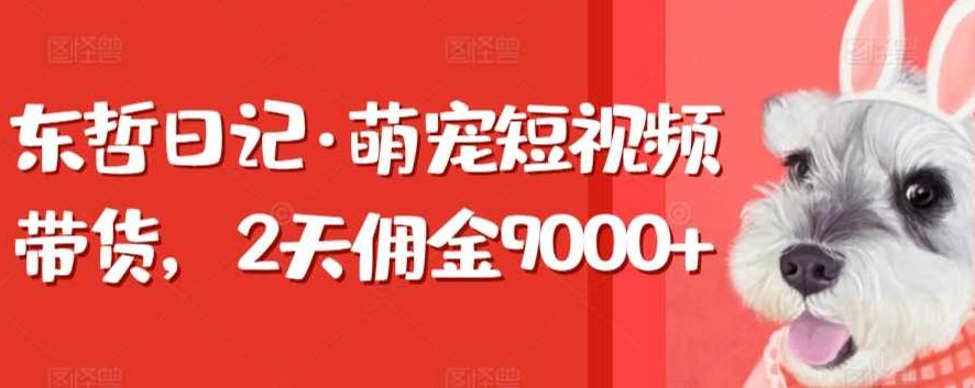东哲日记·萌宠短视频带货，2天佣金9000+,课程,视频,第1张