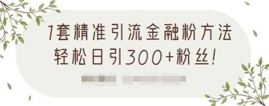 1套精准引流金融粉方法，轻松日引300+粉丝【视频课程】,课程,视频,视频课程,第1张