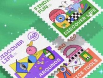 同捉平面图形构成训练营第9期2023年