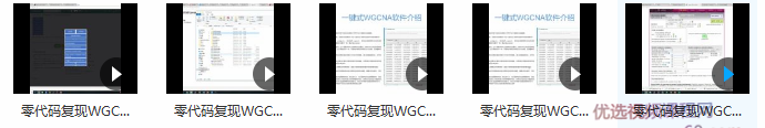 零代码复现WGCNA教程,教程,第2张