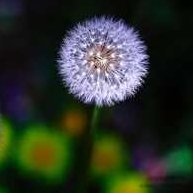 2020山中策市三期·A股独立走势启航,课程,基础,赚钱,第1张